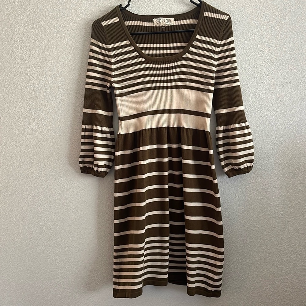 Pink Rose stripped Mini Sweater Dress